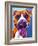 Pit Bull - Yummy-Dawgart-Framed Giclee Print