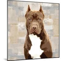 Pit Bull-Keri Rodgers-Mounted Giclee Print