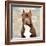 Pit Bull-Keri Rodgers-Framed Art Print