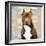 Pit Bull-Keri Rodgers-Framed Art Print