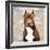 Pit Bull-Keri Rodgers-Framed Art Print