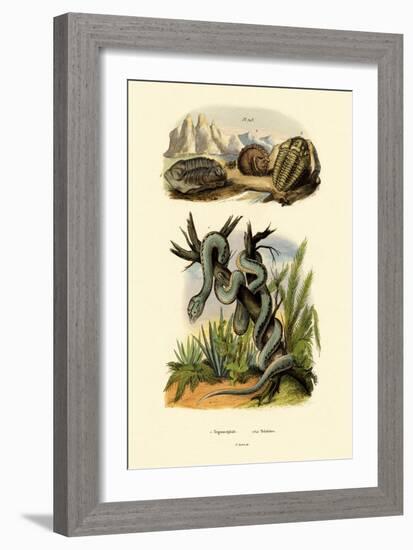 Pit Viper, 1833-39-null-Framed Giclee Print