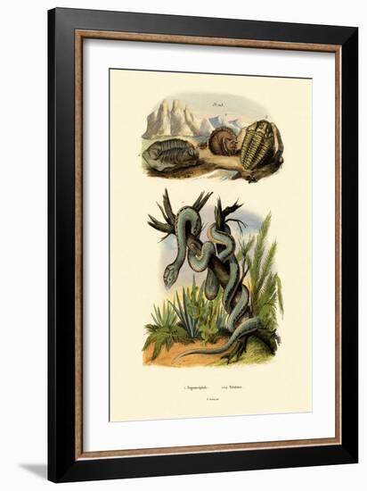 Pit Viper, 1833-39-null-Framed Giclee Print