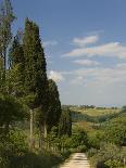 Countryside Near Montepulciano, Val D'Orcia, Siena Province, Tuscany, Italy, Europe-Pitamitz Sergio-Framed Photographic Print