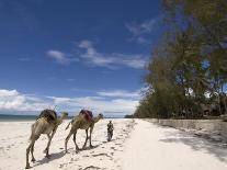 Diani Beach, Near Mombasa, Kenya, East Africa, Africa-Pitamitz Sergio-Photographic Print