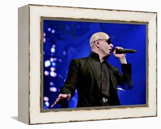 Pitbull-null-Framed Stretched Canvas