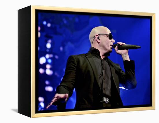 Pitbull-null-Framed Stretched Canvas