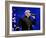 Pitbull-null-Framed Photo