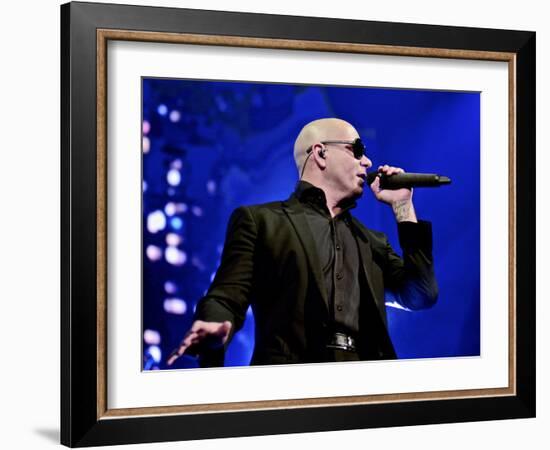 Pitbull-null-Framed Photo