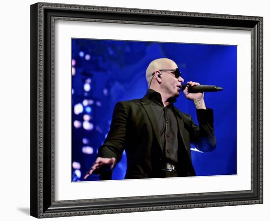 Pitbull-null-Framed Photo