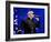 Pitbull-null-Framed Photo