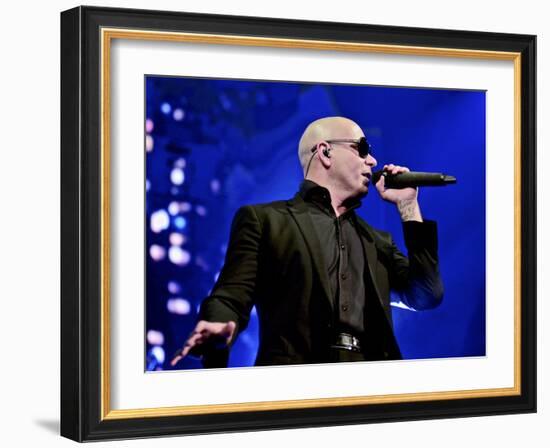 Pitbull-null-Framed Photo