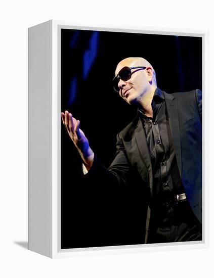 Pitbull-null-Framed Stretched Canvas