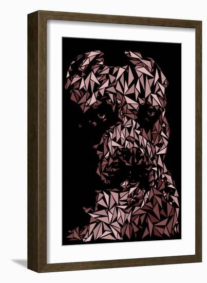 Pitbull-Cristian Mielu-Framed Art Print