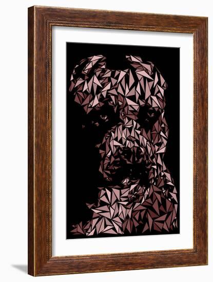 Pitbull-Cristian Mielu-Framed Art Print