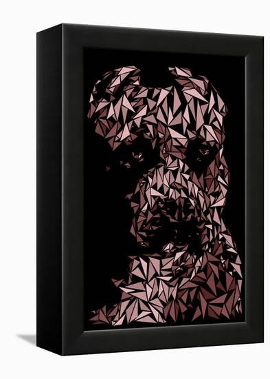 Pitbull-Cristian Mielu-Framed Stretched Canvas