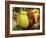 Pitcher Plant, Sarawak, Borneo, Malaysia-Jay Sturdevant-Framed Photographic Print