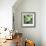 Pitcher Plant-Ken Bremer-Framed Limited Edition displayed on a wall