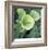 Pitcher Plant-Ken Bremer-Framed Limited Edition