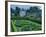 Pitmedden Gardens Were Designed in Seventeenth Century by Alexander Seton, Formerly Lord Pitmedden-John Warburton-lee-Framed Photographic Print