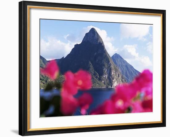 Pitons Volcanic Mountains, with Bougainvillea Flowers in Foreground, St. Lucia, West Indies-Yadid Levy-Framed Photographic Print