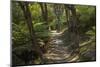 Pitt Head Track, Abel Tasman National Park, Nelson Region, South Island, New Zealand-David Wall-Mounted Photographic Print