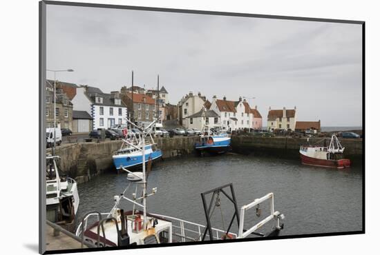 Pittenweem Harbour, Fife Coast, Scotland, United Kingdom-Nick Servian-Mounted Photographic Print