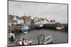 Pittenweem Harbour, Fife Coast, Scotland, United Kingdom-Nick Servian-Mounted Photographic Print