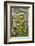 Pittsburg, PA. USA. Fall on the Farm-Julien McRoberts-Framed Photographic Print