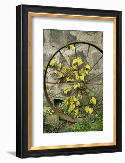 Pittsburg, PA. USA. Fall on the Farm-Julien McRoberts-Framed Photographic Print