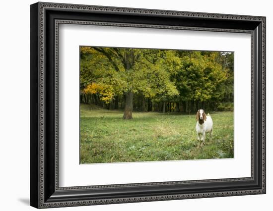 Pittsburg, PA. USA. Fall on the Farm-Julien McRoberts-Framed Photographic Print