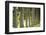 Pittsburg, PA. USA. Fall on the Farm-Julien McRoberts-Framed Photographic Print