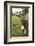 Pittsburg, PA. USA. Fall on the Farm-Julien McRoberts-Framed Photographic Print