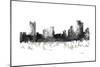 Pittsburgh Pennsylvania BW 1-Marlene Watson-Mounted Giclee Print