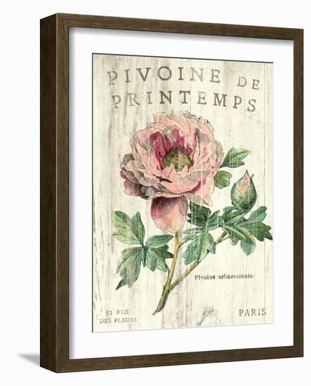 Pivoine de Printemps-Sue Schlabach-Framed Art Print