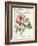 Pivoine de Printemps-Sue Schlabach-Framed Art Print