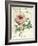 Pivoine de Printemps-Sue Schlabach-Framed Art Print