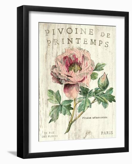 Pivoine de Printemps-Sue Schlabach-Framed Art Print