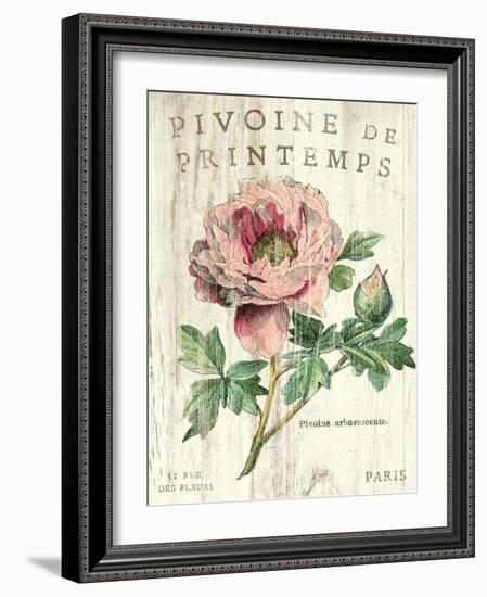 Pivoine de Printemps-Sue Schlabach-Framed Art Print