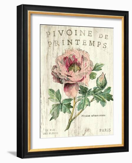 Pivoine de Printemps-Sue Schlabach-Framed Art Print