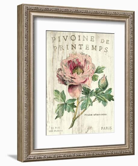 Pivoine de Printemps-Sue Schlabach-Framed Art Print