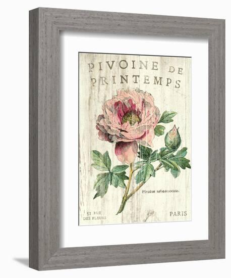 Pivoine de Printemps-Sue Schlabach-Framed Art Print