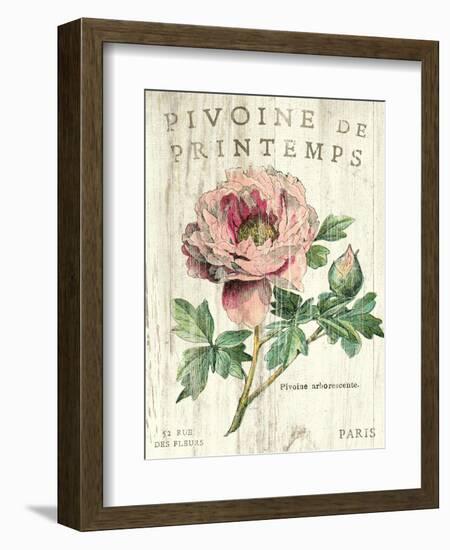 Pivoine de Printemps-Sue Schlabach-Framed Art Print