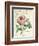 Pivoine de Printemps-Sue Schlabach-Framed Art Print