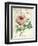 Pivoine de Printemps-Sue Schlabach-Framed Art Print