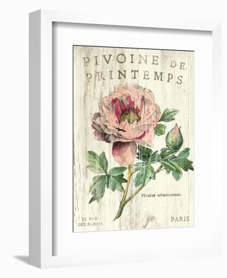 Pivoine de Printemps-Sue Schlabach-Framed Art Print