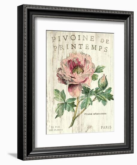 Pivoine de Printemps-Sue Schlabach-Framed Art Print