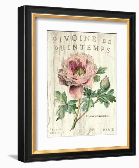 Pivoine de Printemps-Sue Schlabach-Framed Art Print