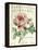 Pivoine de Printemps-Sue Schlabach-Framed Stretched Canvas