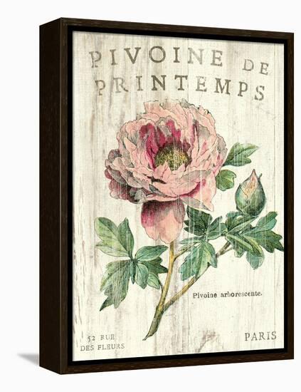 Pivoine de Printemps-Sue Schlabach-Framed Stretched Canvas